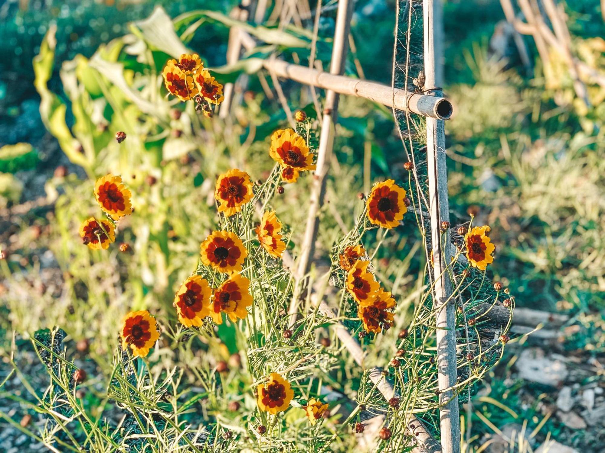 Stay At Pachamama Community Alcácer do Sal Rum bild